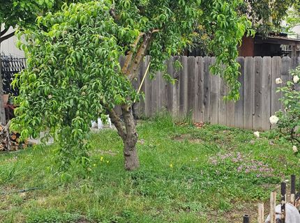 329 S Stockton Ave, Ripon, CA 95366 Photo