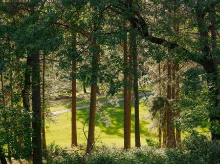 17082 Alioto Dr, Grass Valley, CA 95949 Photo