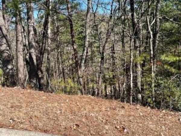 0 Rosen Strasse, Helen, GA 30545