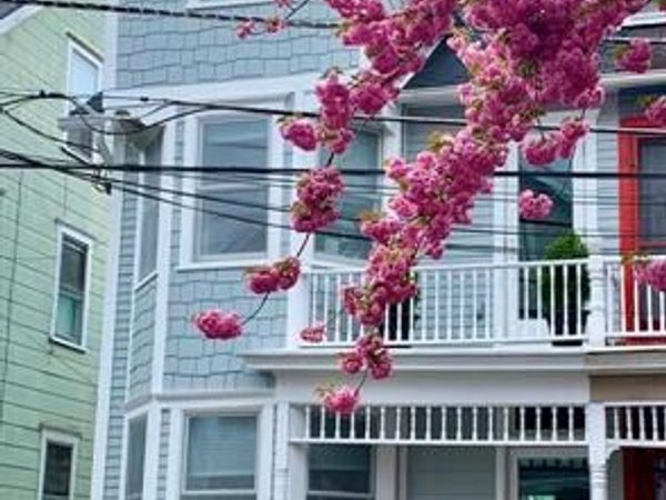 28 BANK STREET, PRINCETON, NJ 08542