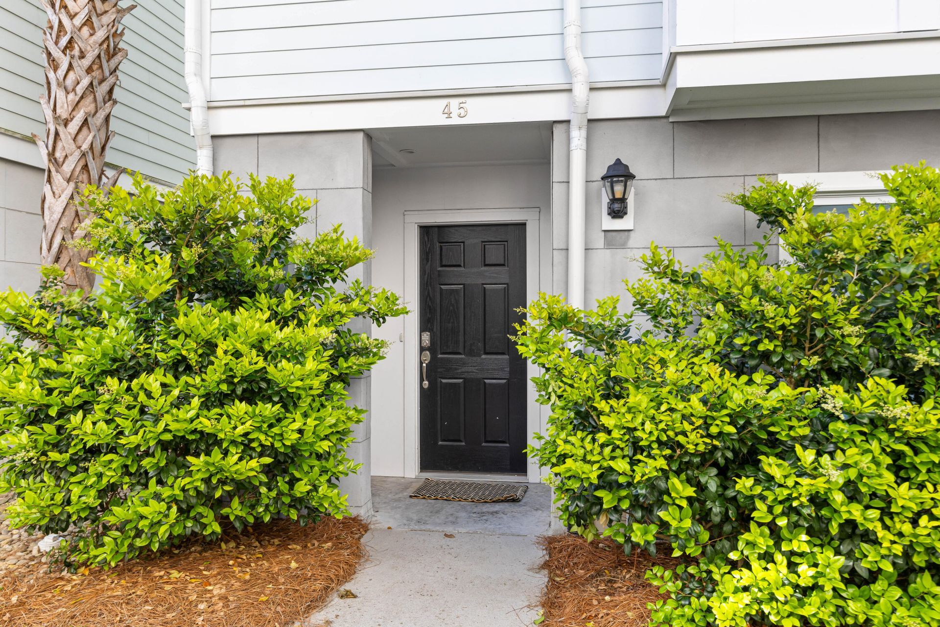 45 Dereef Court Photo 6