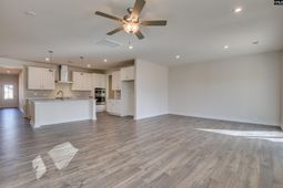 617 Basalt Court  photo 4