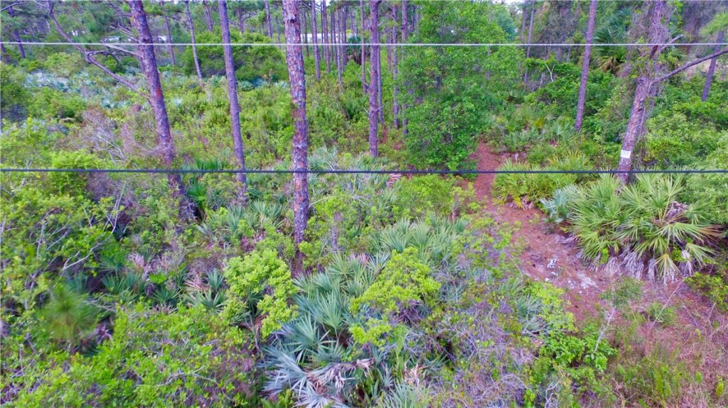 00 Bald Cypress Trail , Fort Pierce, FL 34945 Photo