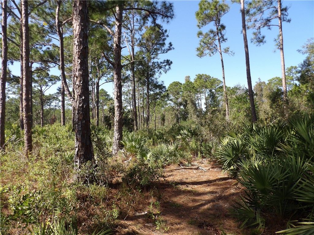 00 Bald Cypress Trail , Fort Pierce, FL 34945 Photo