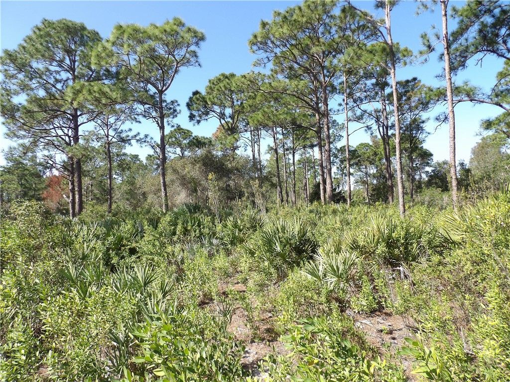 00 Bald Cypress Trail , Fort Pierce, FL 34945 Photo