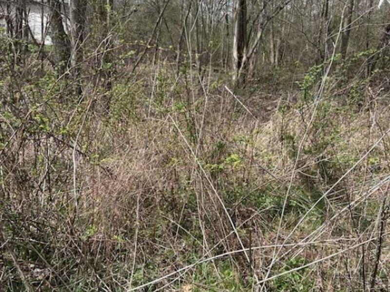 0 King Road, Howard, OH 43028 Photo 2