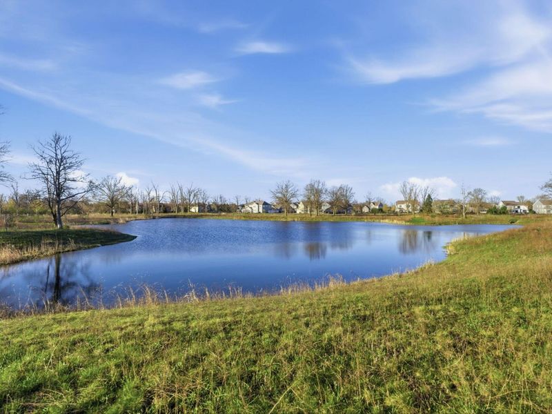 6417 Albanese Circle, Dublin, OH 43016 Photo 153