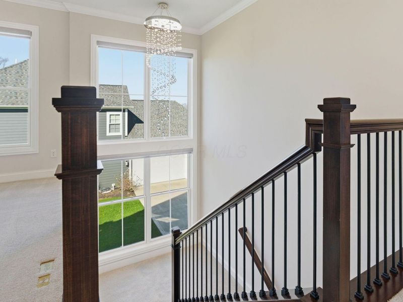 6417 Albanese Circle, Dublin, OH 43016 Photo 59