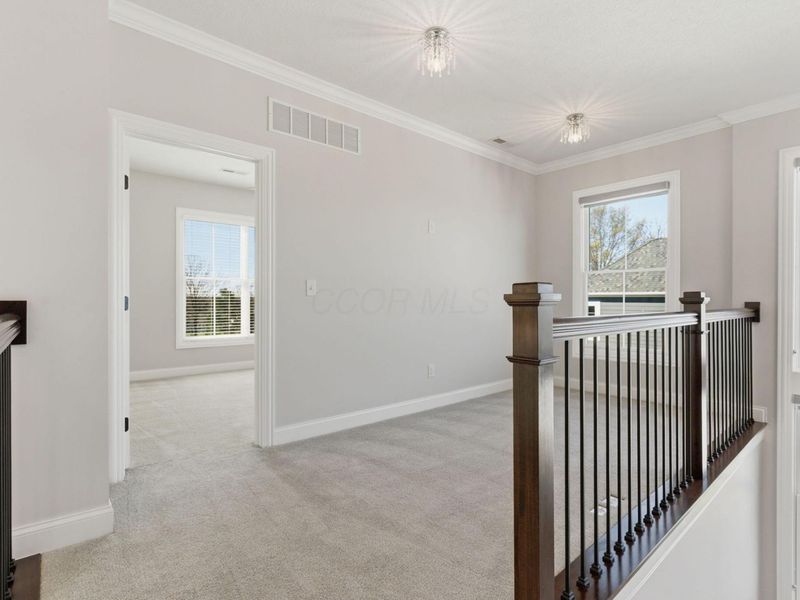 6417 Albanese Circle, Dublin, OH 43016 Photo 61