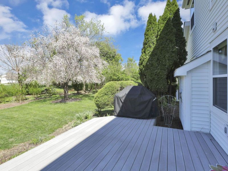 6410 Dietz Drive, Canal Winchester, OH 43110 Photo 49