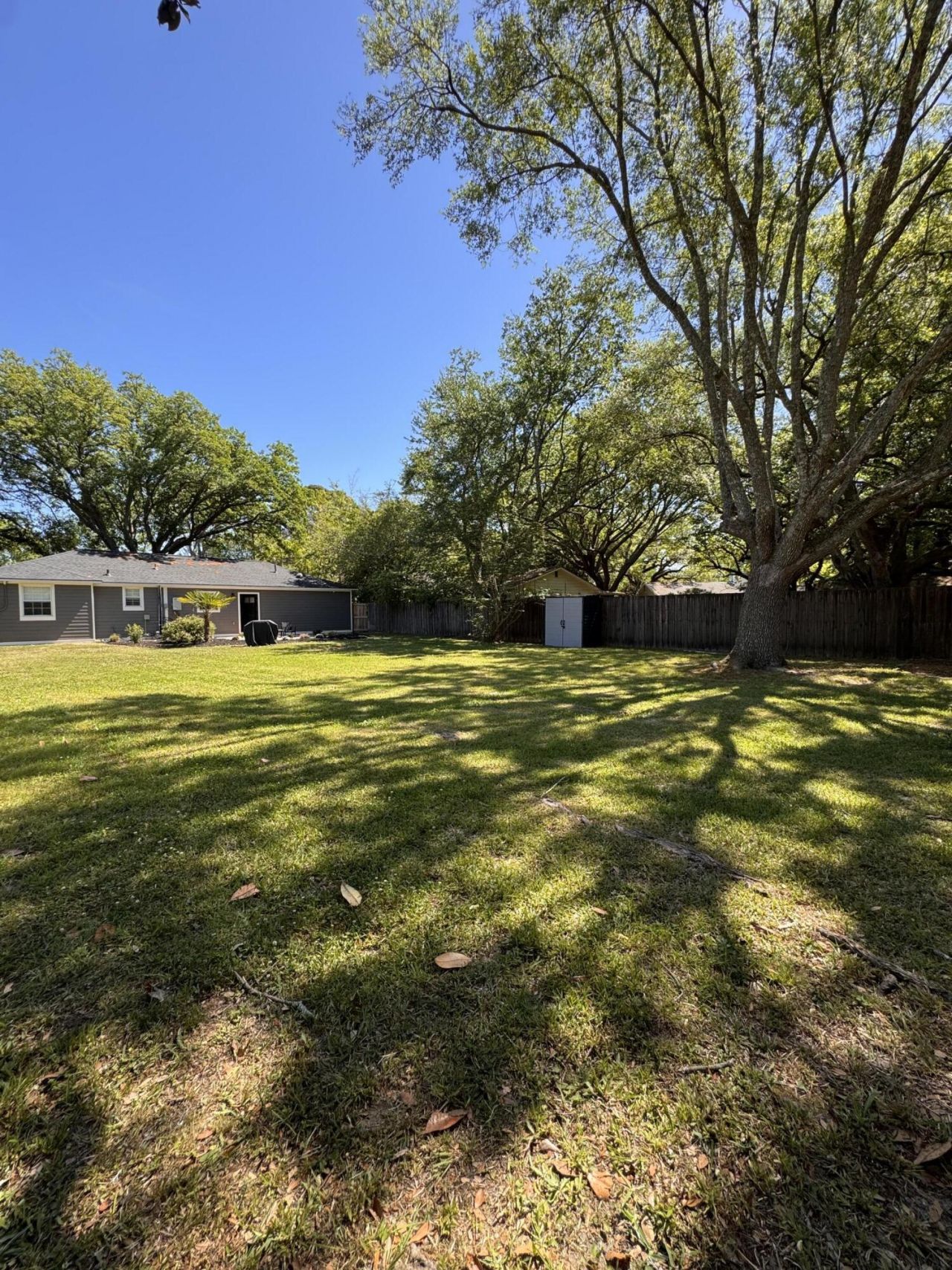 31 Anita Drive Photo 35