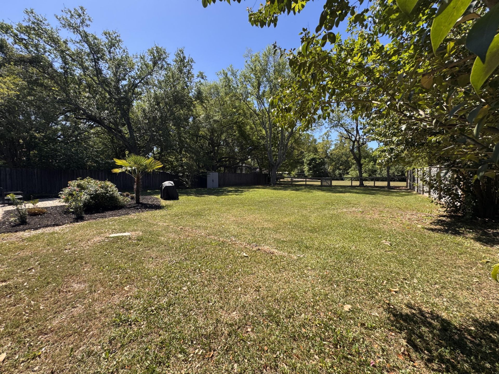 31 Anita Drive Photo 36