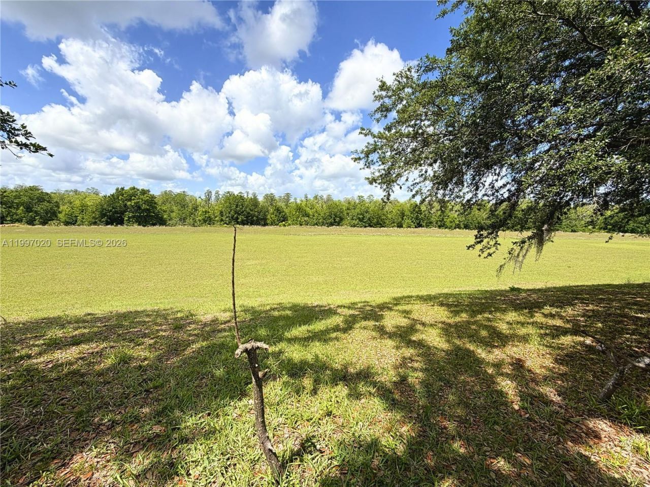 233 Aldridge Ln, Davenport, FL 33897 Photo