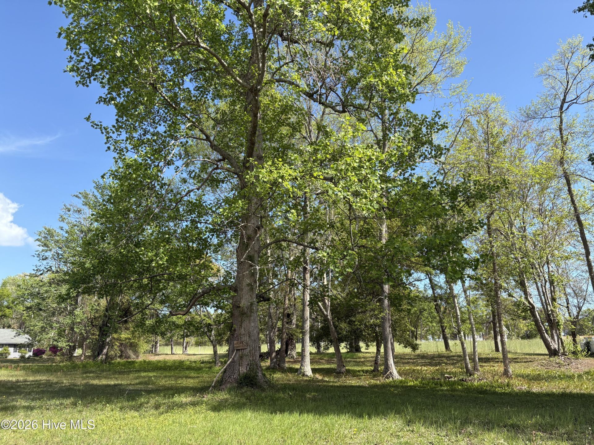1781 Sandalwood Drive Sw, Ocean Isle Beach, NC 28469 Main Photo