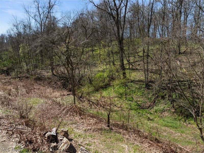 115 Township Road 501, Mingo Junction, OH 43938 Photo 4