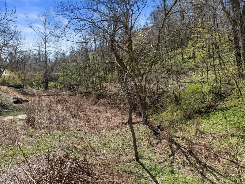 115 Township Road 501, Mingo Junction, OH 43938 Photo 5