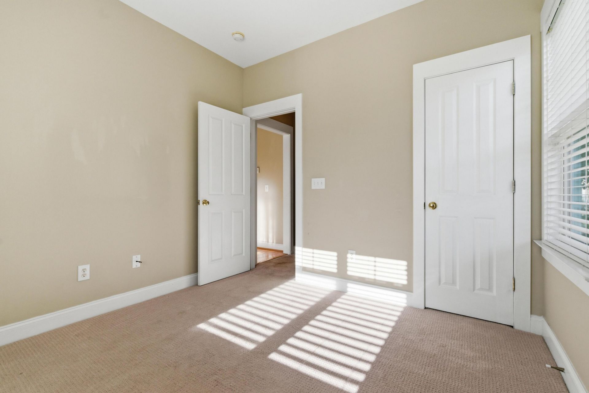 203 Hydrangea Street Photo 14