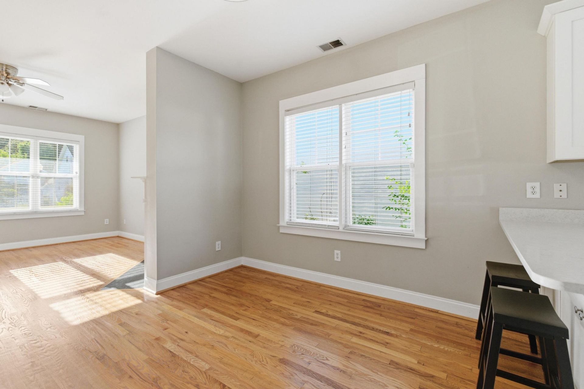 203 Hydrangea Street Photo 26