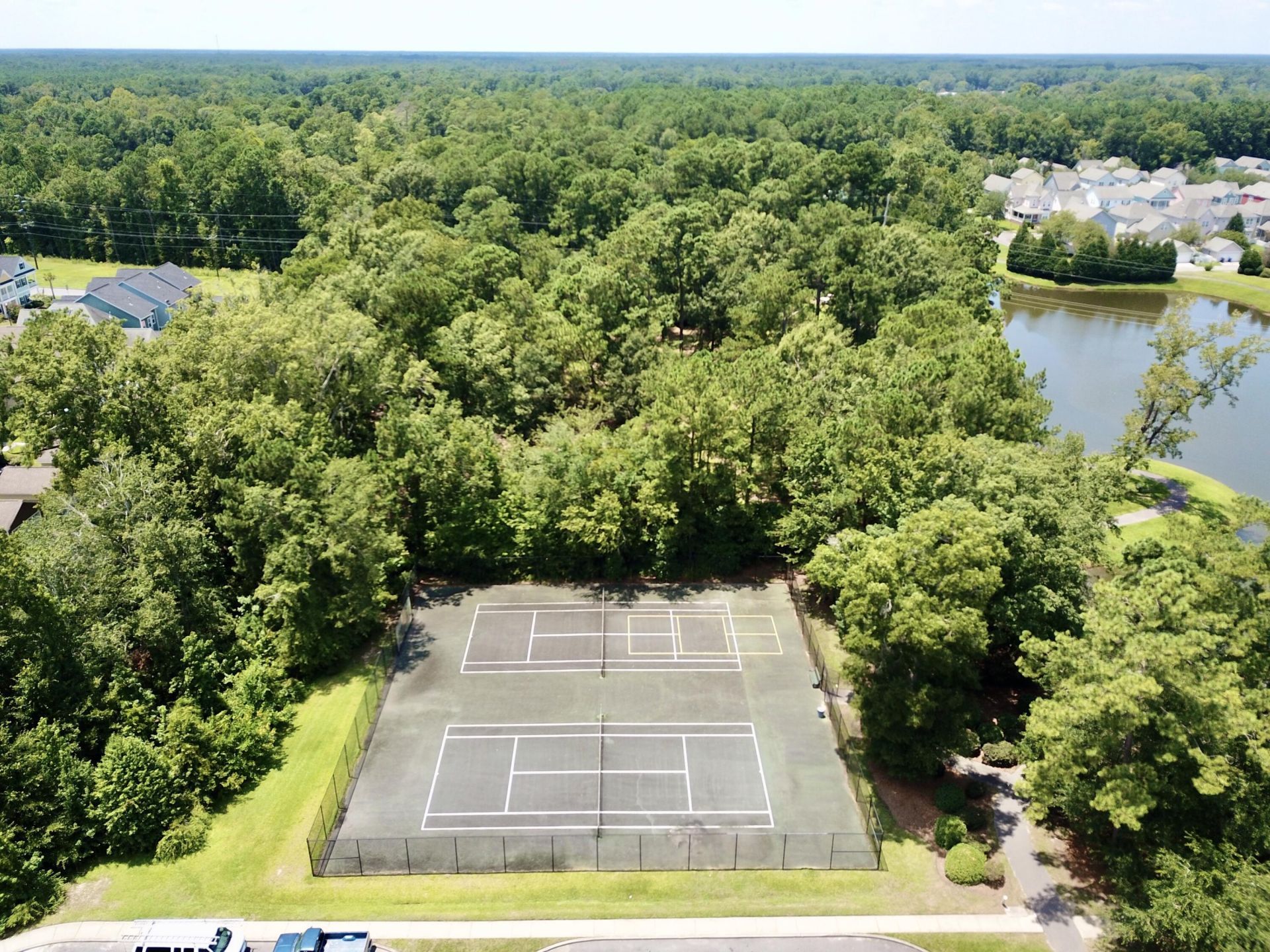 203 Hydrangea Street Photo 43