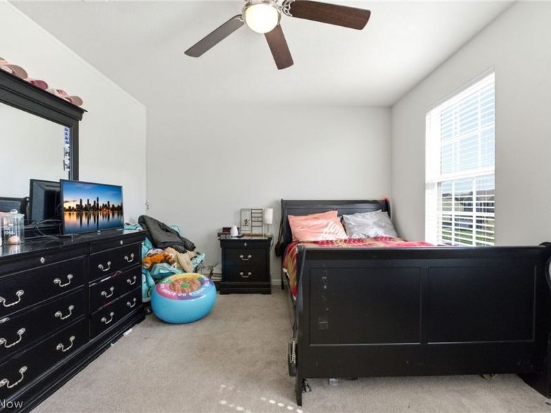 9194 Winfield Lane, North Ridgeville, OH 44039 Photo 16