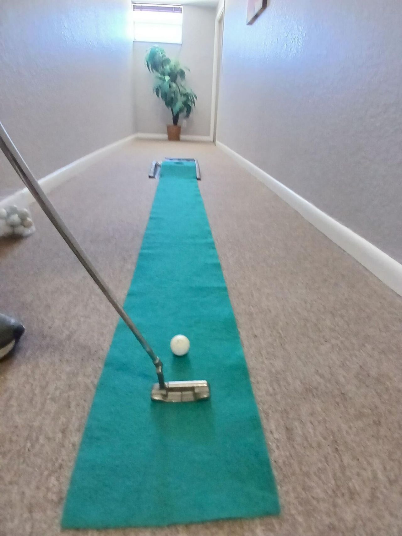 470 Executive Center Drive, Unit 4n, West Palm Beach, FL 33401 Photo