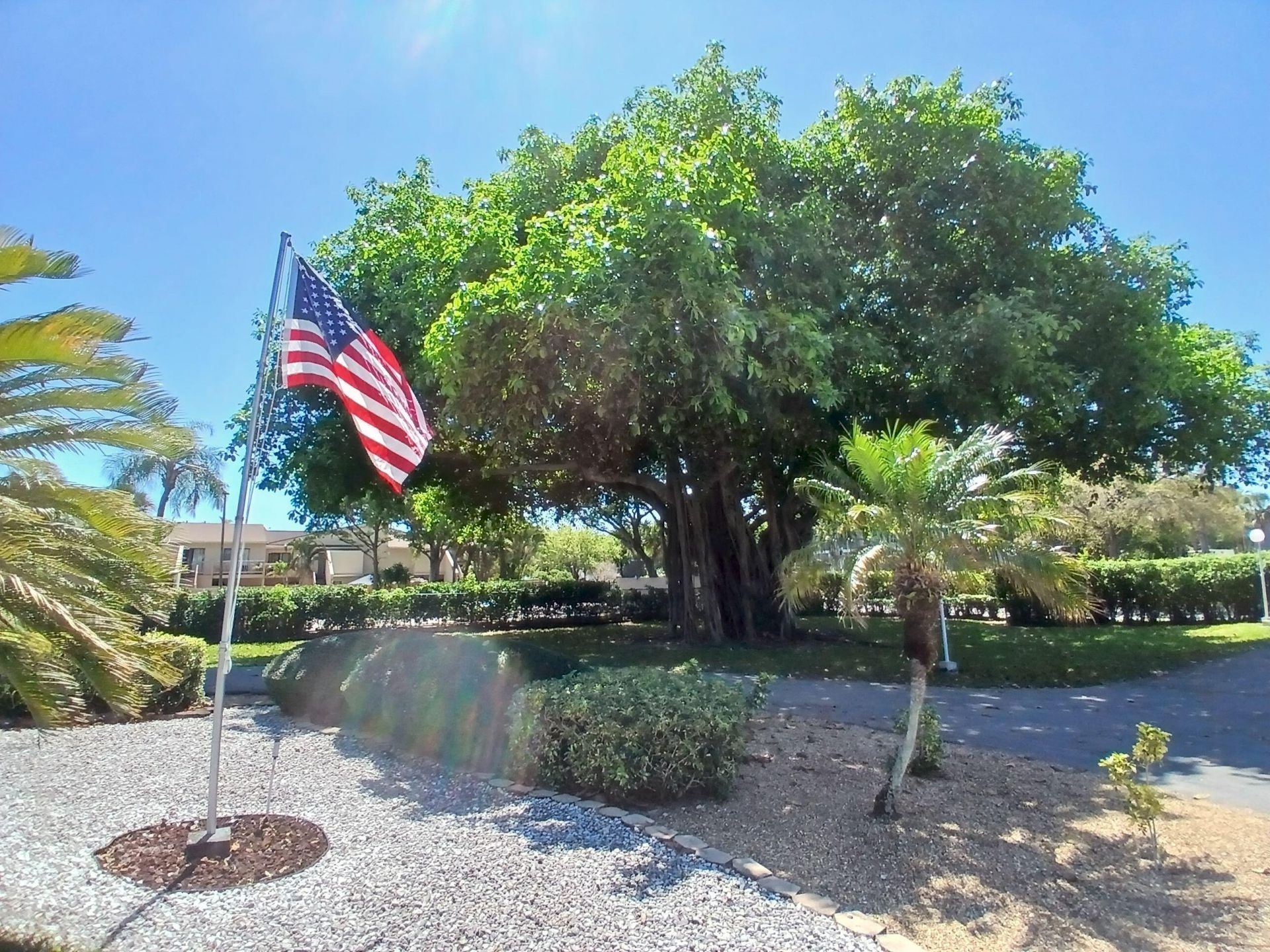 470 Executive Center Drive, Unit 4n, West Palm Beach, FL 33401 Photo