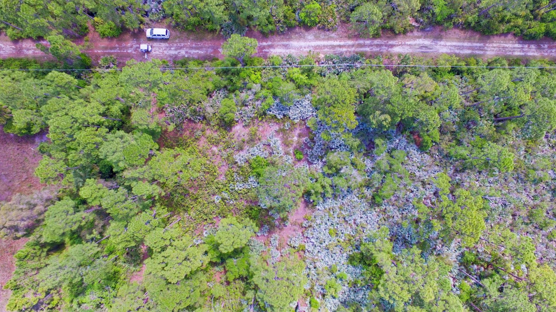 00 Bald Cypress Trail, Fort Pierce, FL 34951 Photo