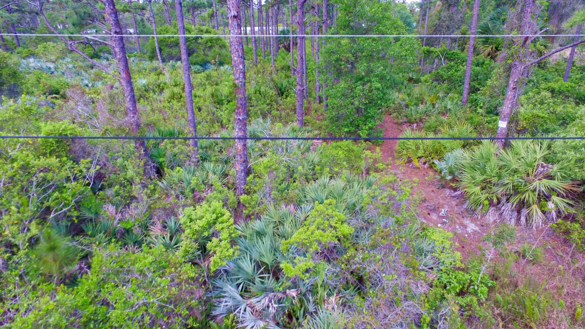 00 Bald Cypress Trail, Fort Pierce, FL 34951 Photo