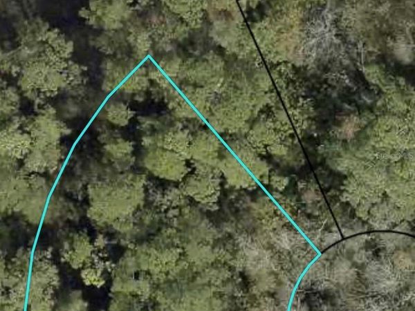 XXXX Z SECTION, PALM COAST, FL 32137
