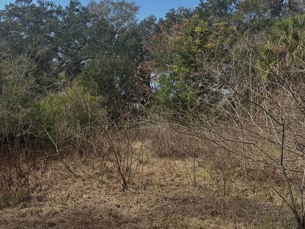 16644 SE 134TH TERRACE , WEIRSDALE, FL 32195