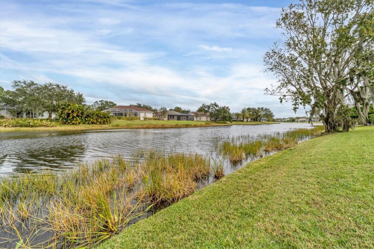 11709 Clubhouse Drive, Lakewood Ranch, FL 34202 Photo