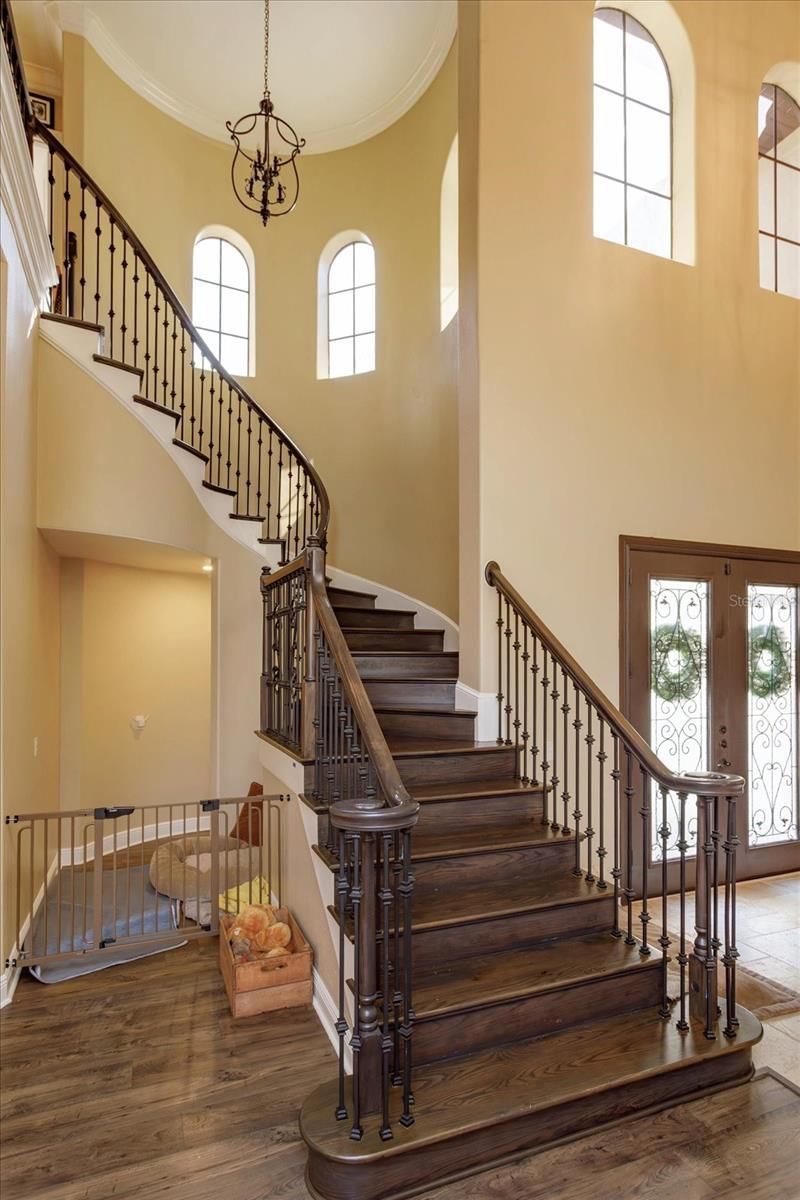 5719 Emerson Pointe Way, Orlando, FL 32819 Photo