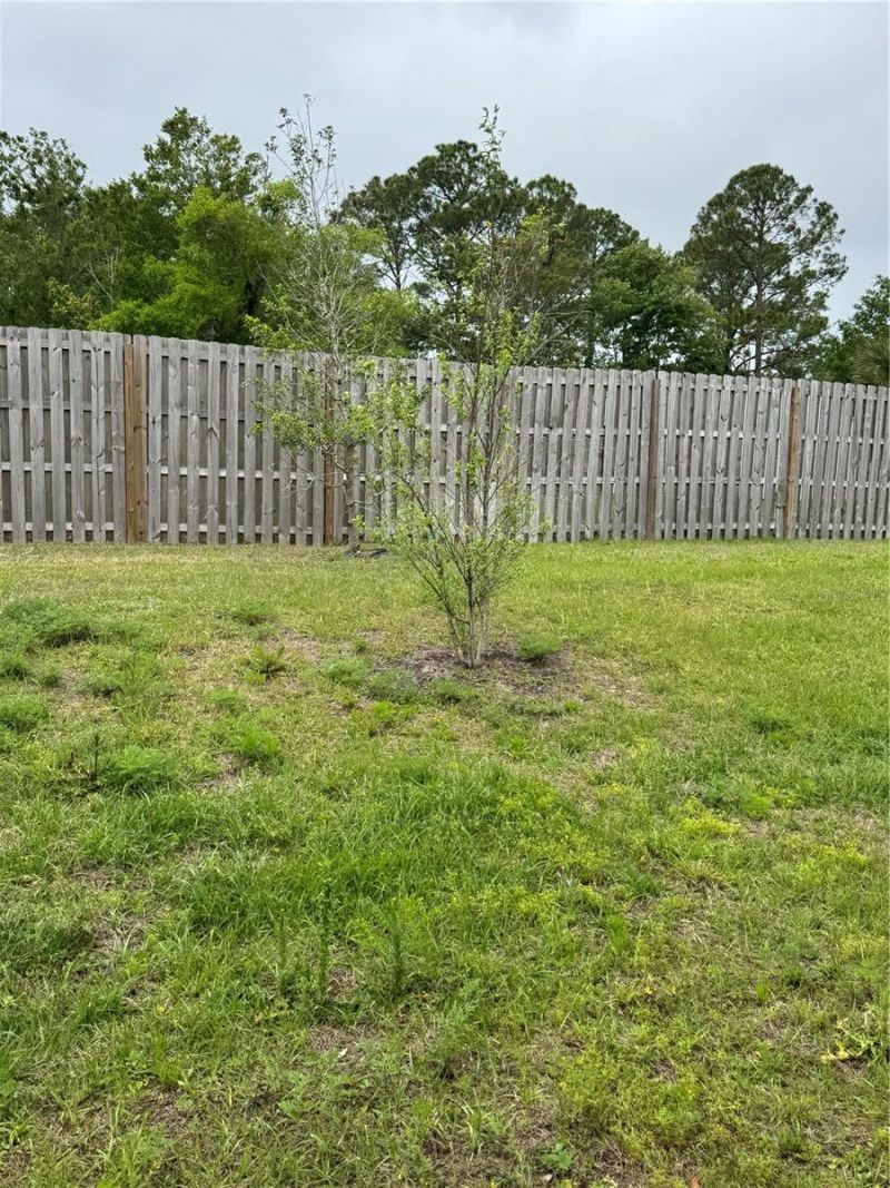 203 Chesterwood Road, Saint Augustine, FL 32084 Photo