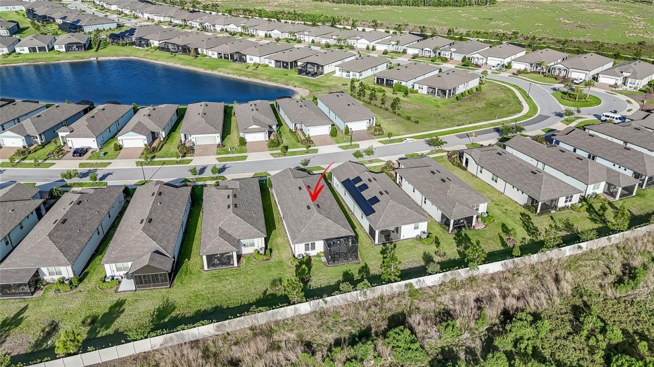 5989 Shorebird Branch , Land O Lakes, FL 34638 Photo