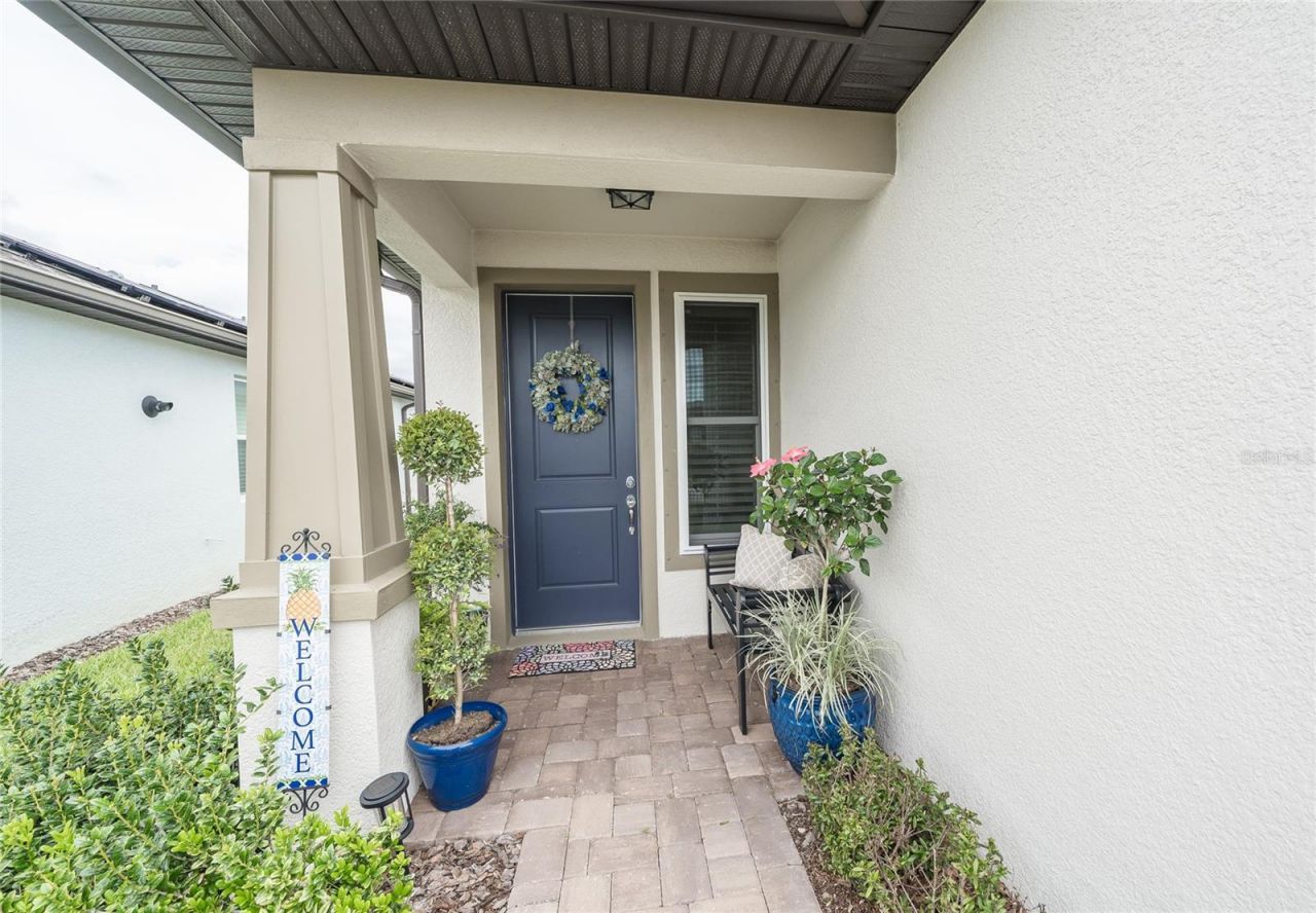 5989 Shorebird Branch , Land O Lakes, FL 34638 Photo