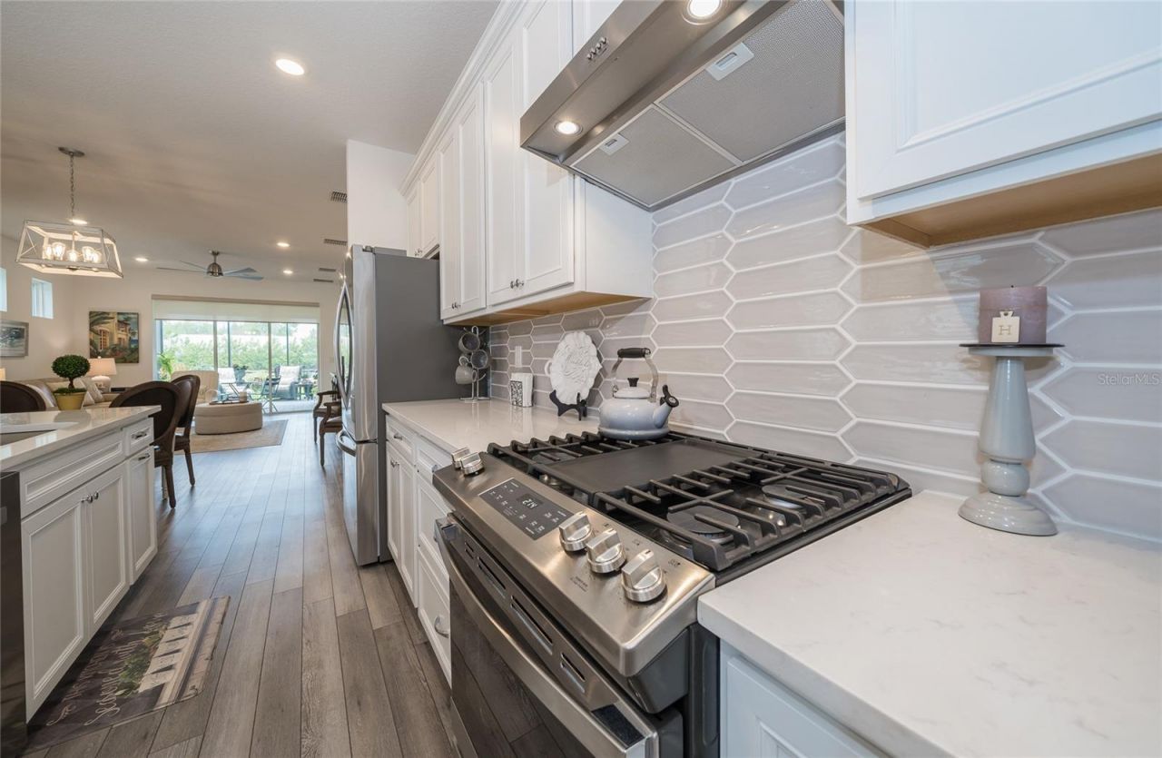 5989 Shorebird Branch , Land O Lakes, FL 34638 Photo