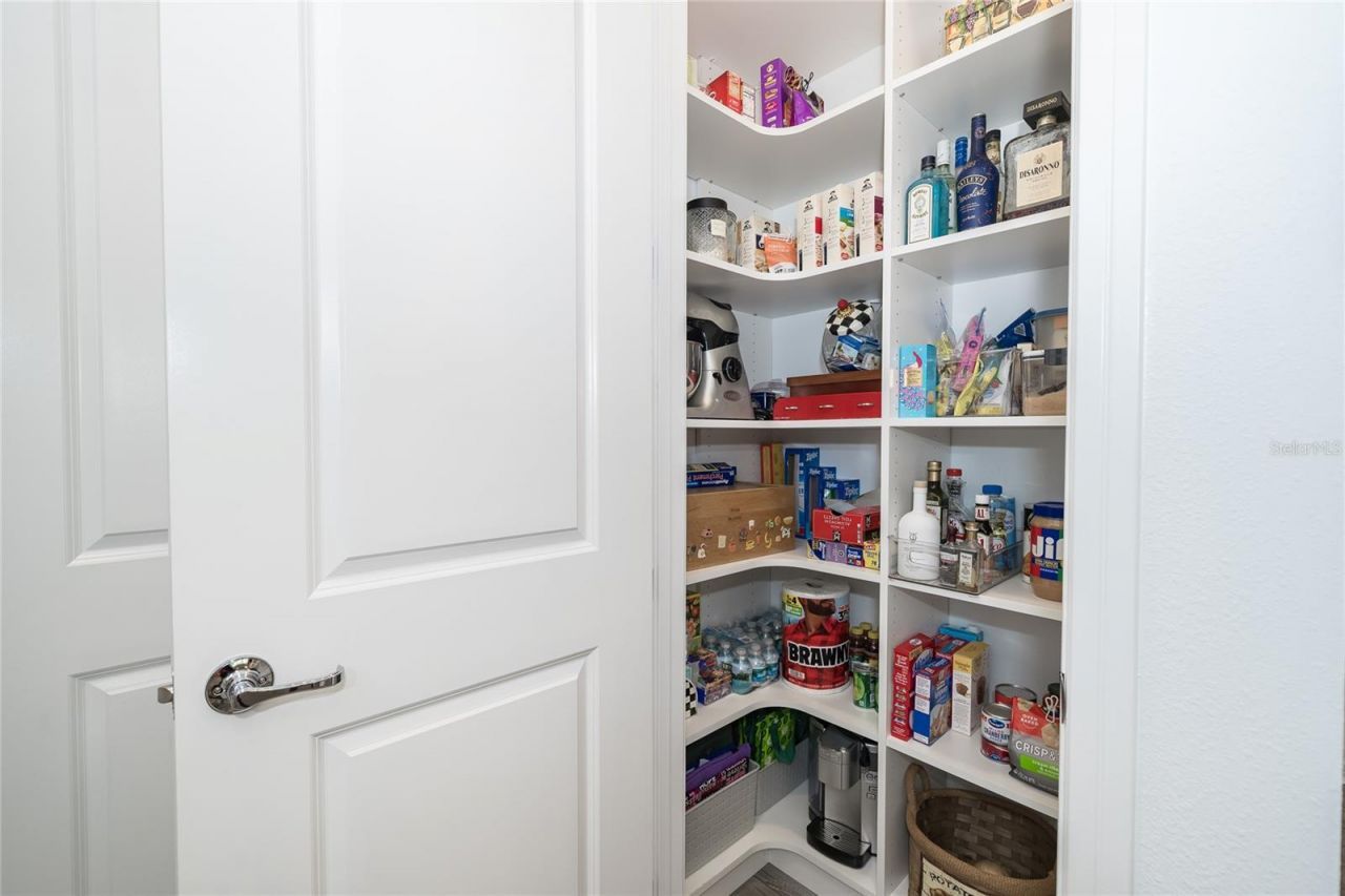 5989 Shorebird Branch , Land O Lakes, FL 34638 Photo