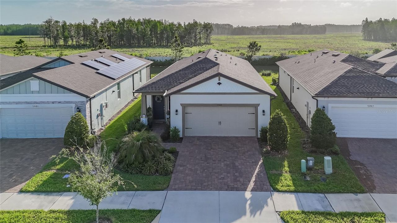 5989 Shorebird Branch , Land O Lakes, FL 34638 Photo