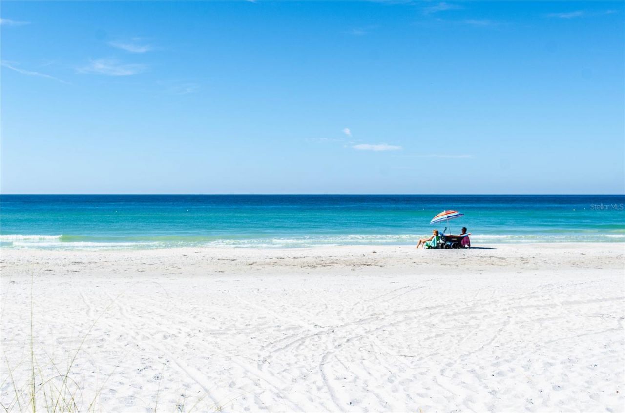 19915 Gulf Boulevard, Unit 806, Indian Shores, FL 33785 Photo
