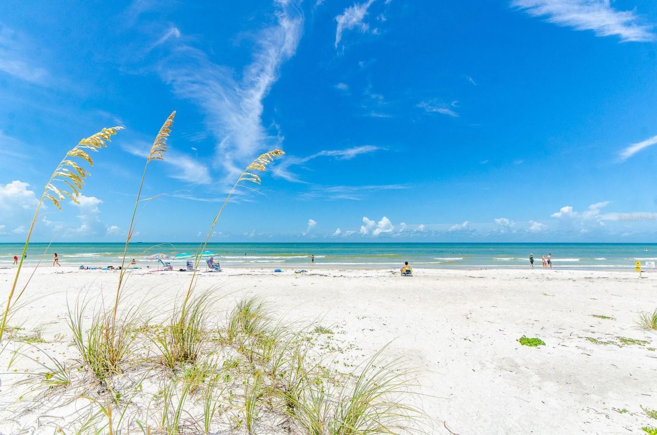19915 Gulf Boulevard, Unit 806, Indian Shores, FL 33785 Photo