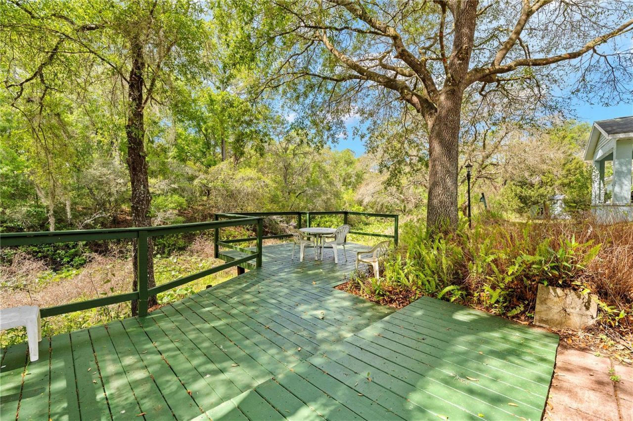 7347 Packingham Drive, Webster, FL 33597 Photo