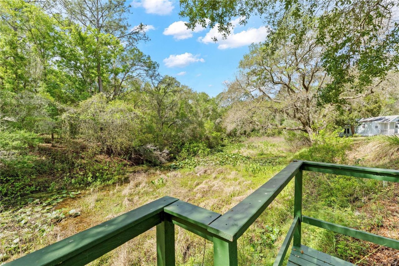 7347 Packingham Drive, Webster, FL 33597 Photo