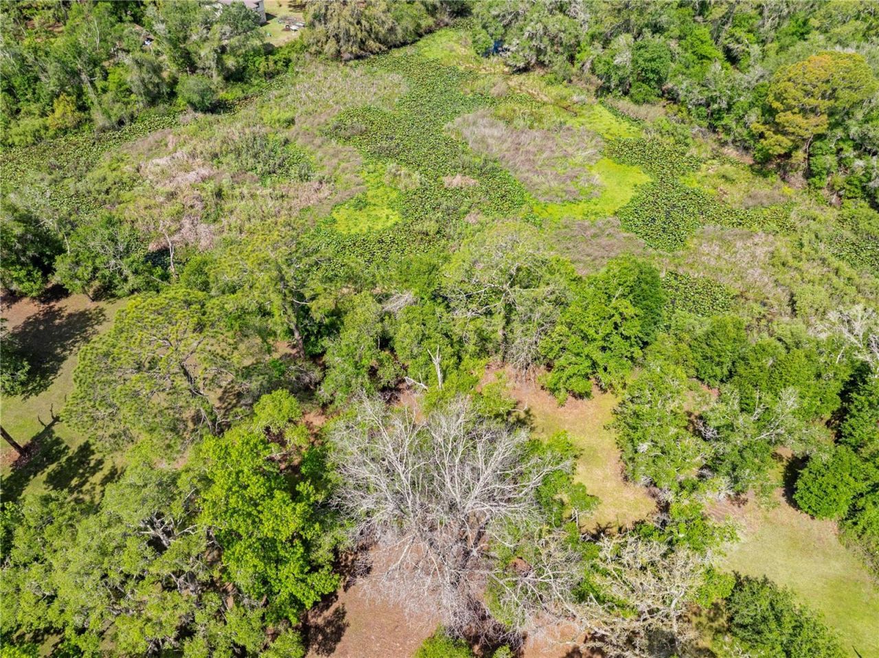 7347 Packingham Drive, Webster, FL 33597 Photo