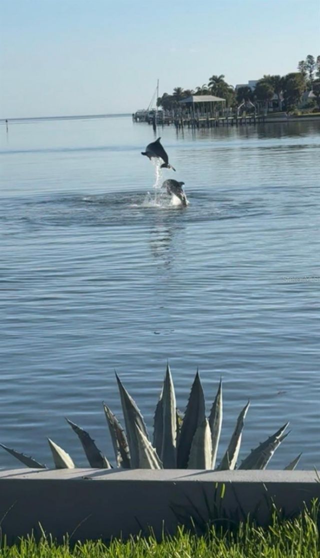 360 26th Avenue Se, Saint Petersburg, FL 33705 Photo