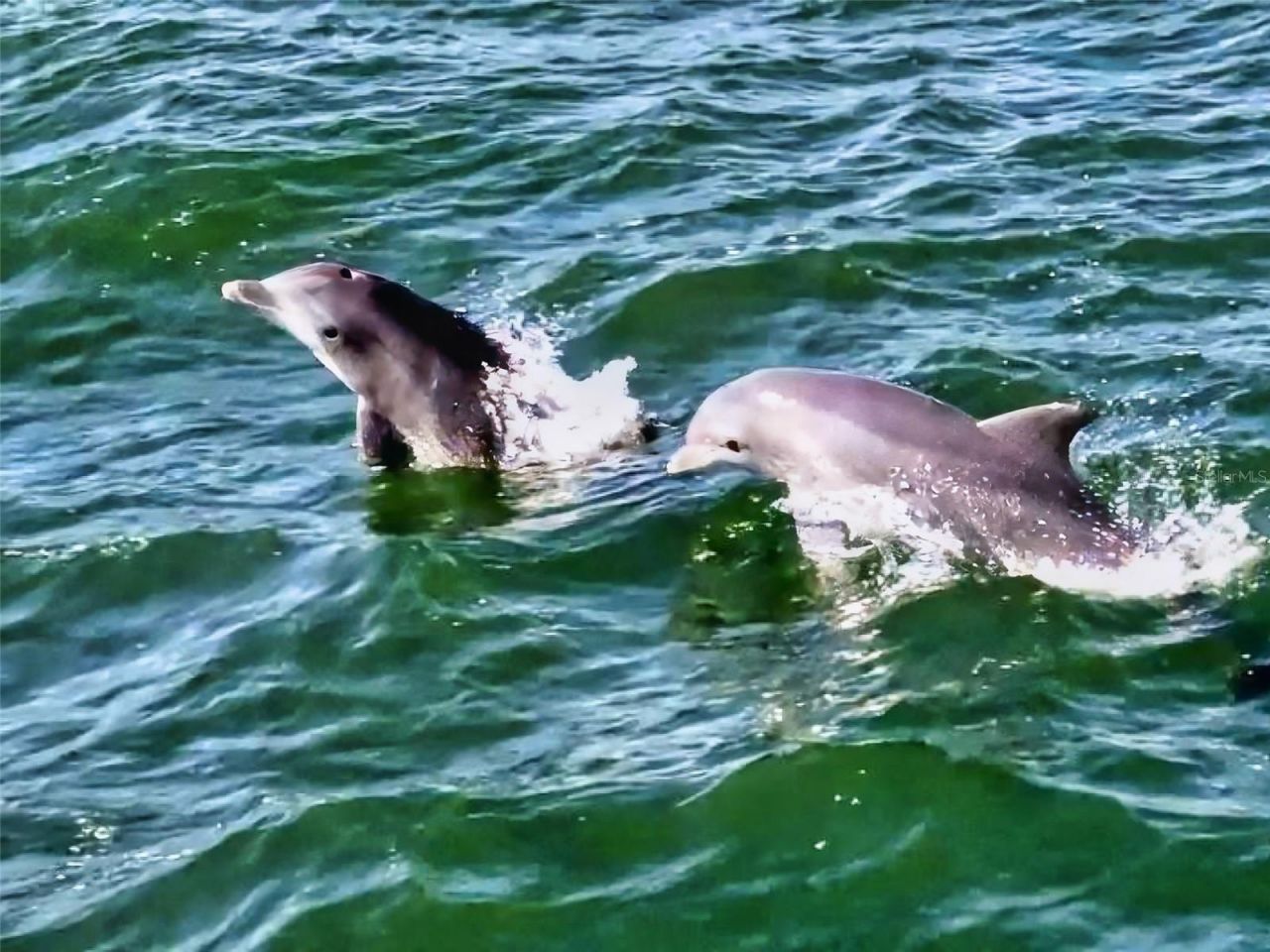 402 Bouchelle Drive, Unit 206, New Smyrna Beach, FL 32169 Photo