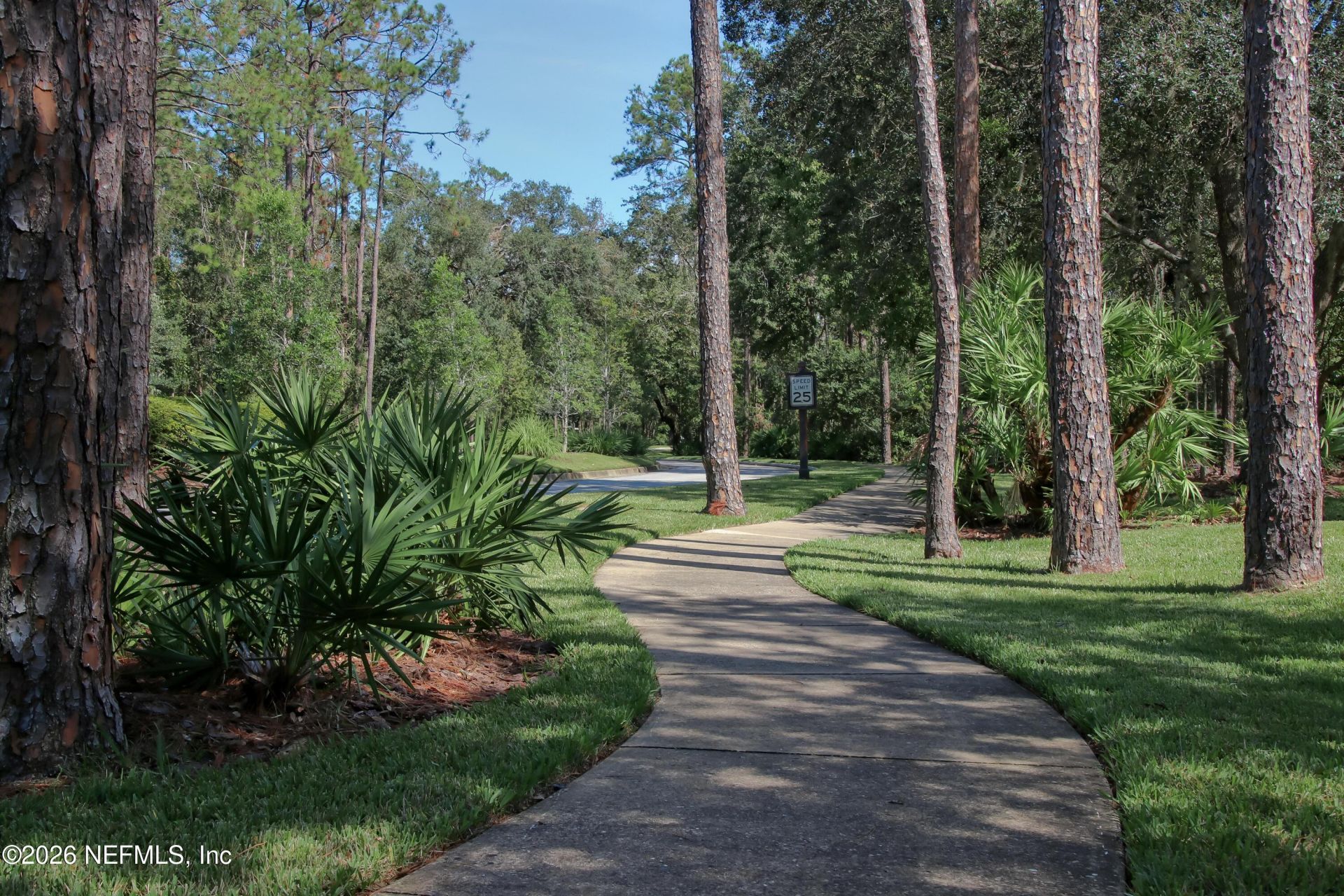 1860 Royal Fern Lane, Fleming Island, FL 32003 Photo