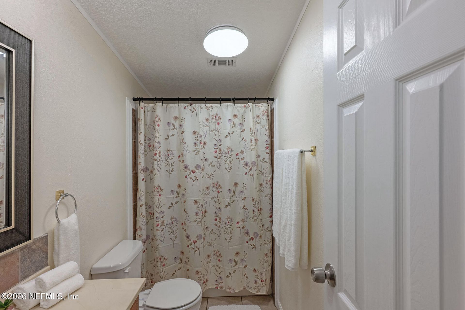 4653 Calendula Avenue, Middleburg, FL 32068 Photo