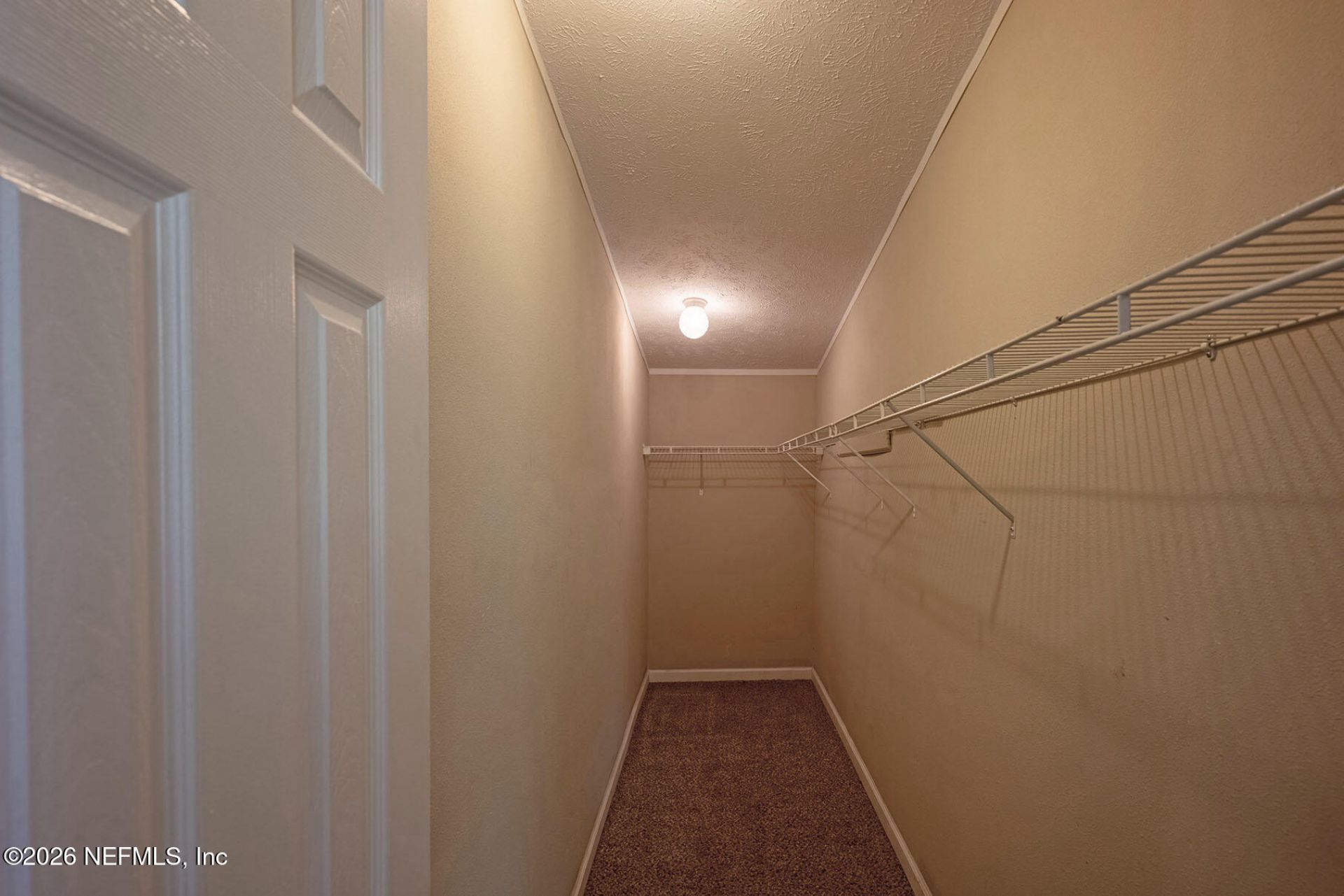 4653 Calendula Avenue, Middleburg, FL 32068 Photo