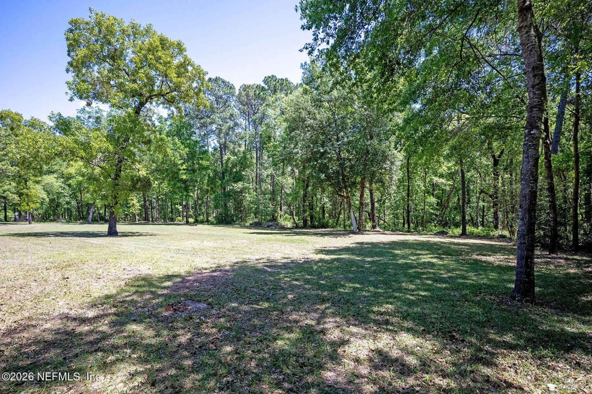 4653 Calendula Avenue, Middleburg, FL 32068 Photo