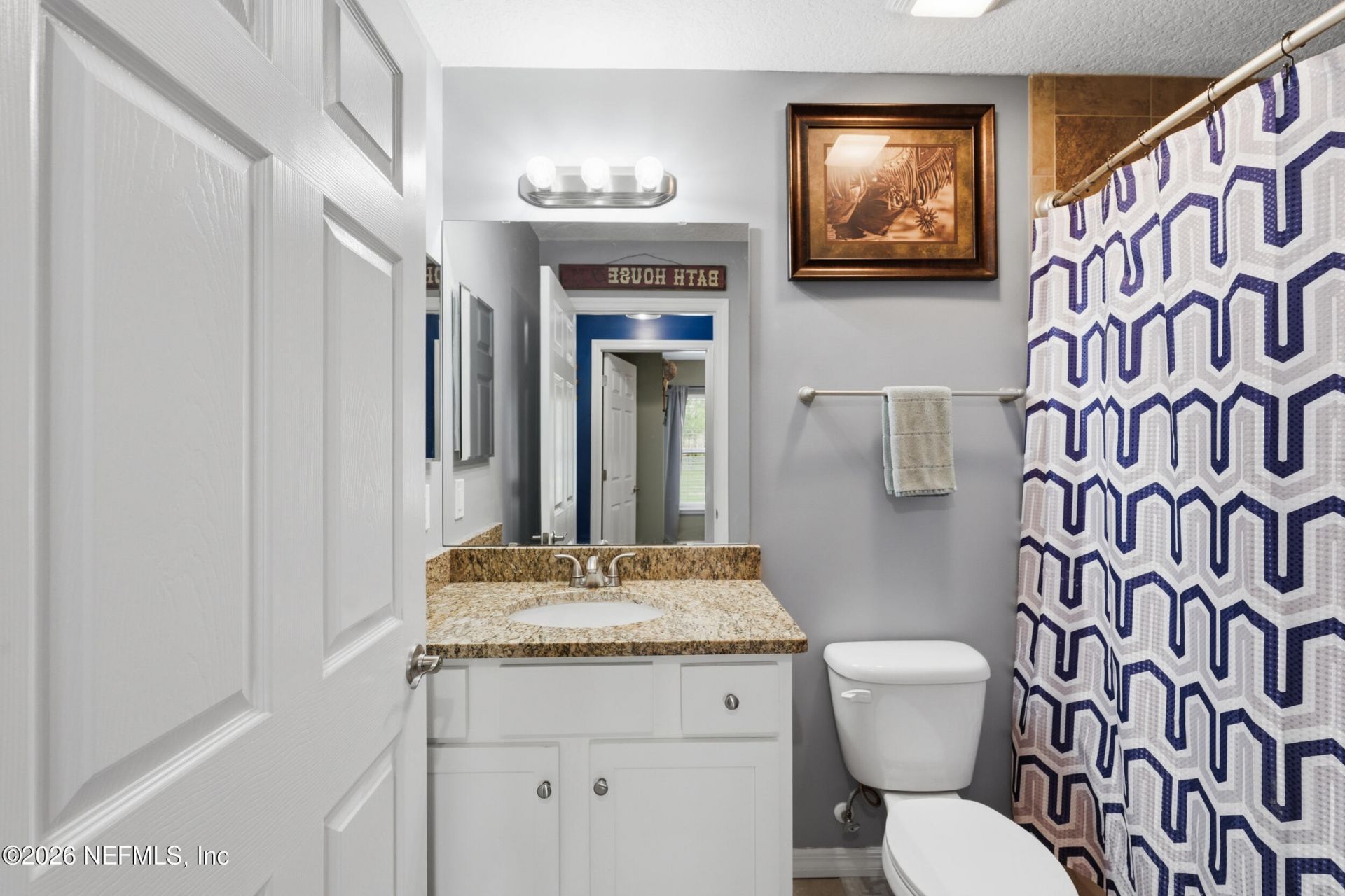 2471 Iris Street, Middleburg, FL 32068 Photo